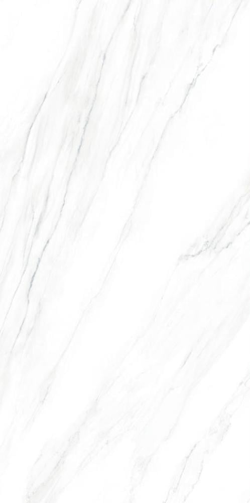 fujian-porcelain--60120--r-1201