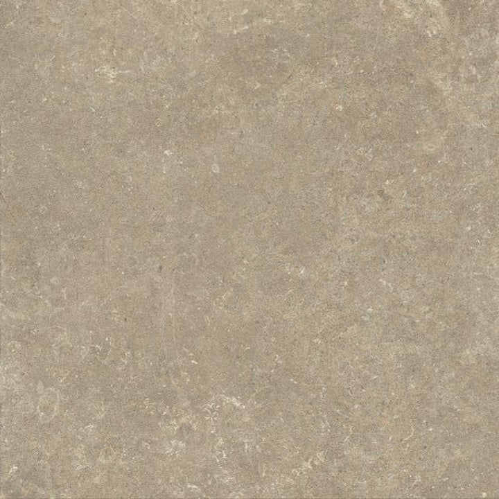arc-style-earth--60120--italian-porcelain