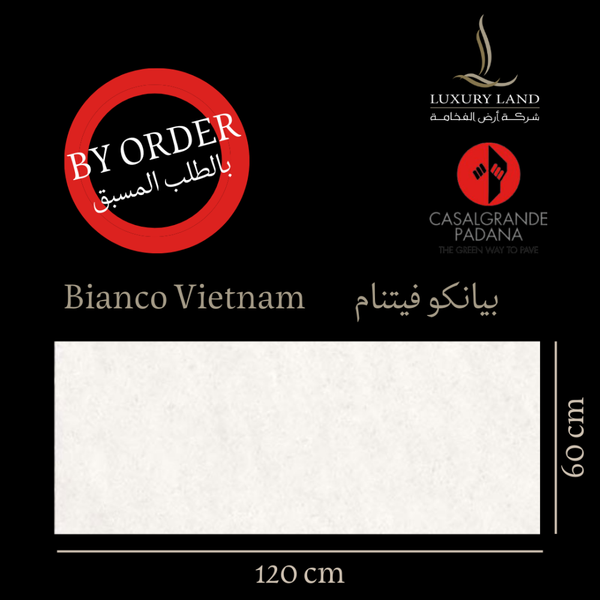 bianco-vietnam--60120--italian-porcelain