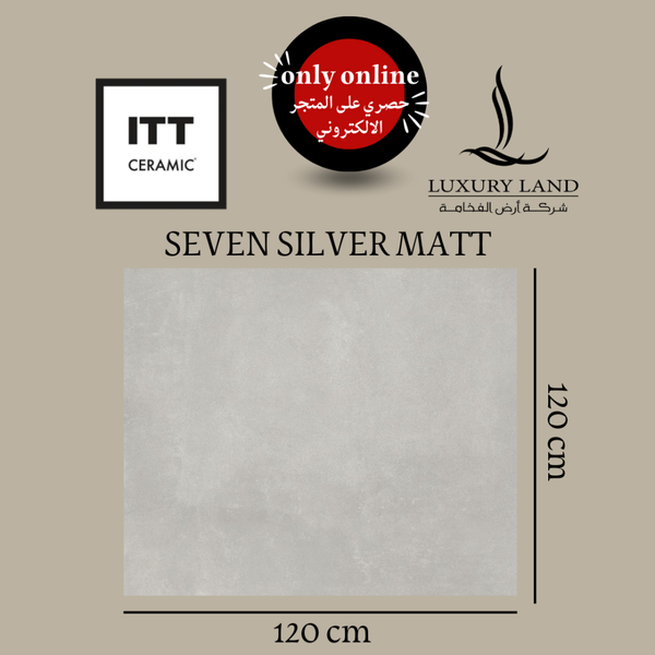 silver-ships--120120--spanish-matte-porcelain