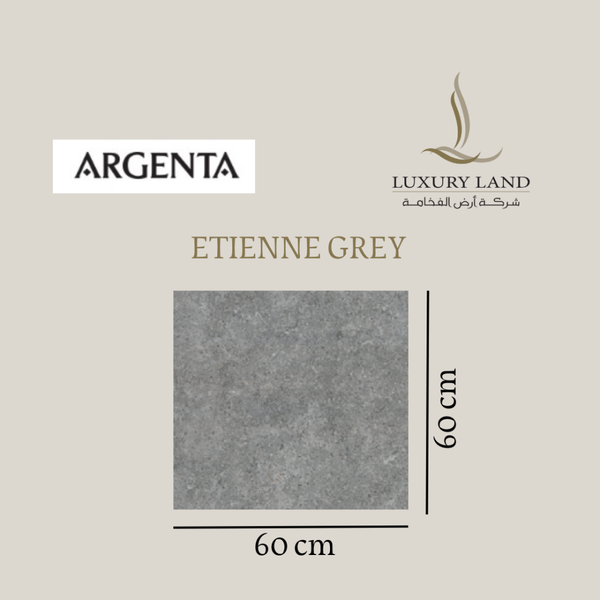 etin-gray--6060--spanish-porcelain