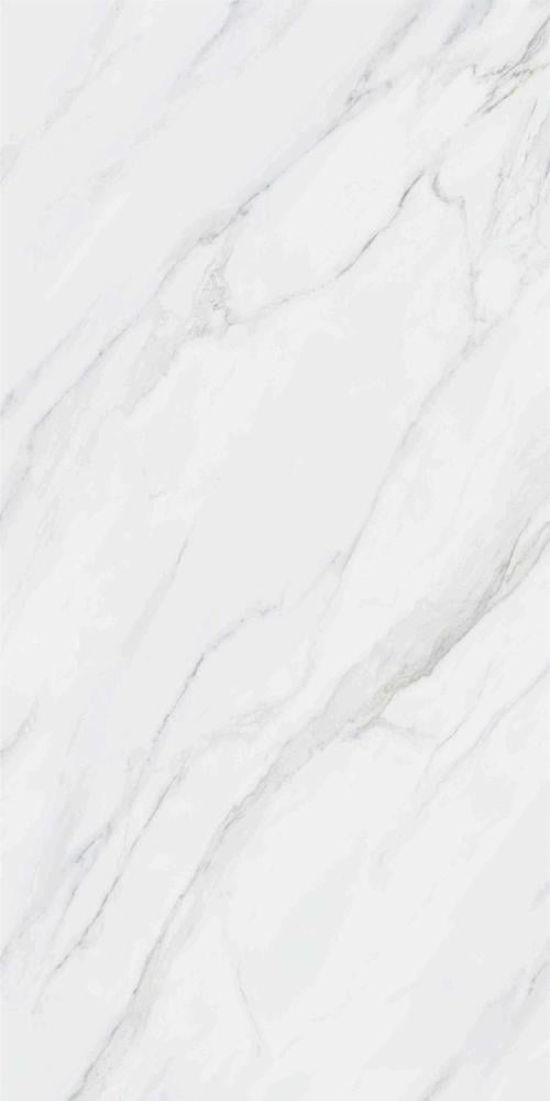 fujian-porcelain--60120--l-16009