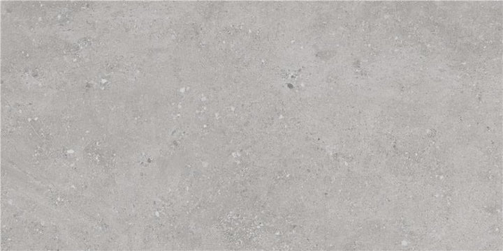 glossy-grey-flax--60120--spanish-porcelain-3027