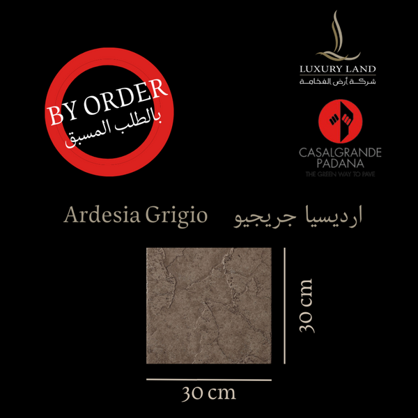 ardesia-grigio--3030--italian-porcelain