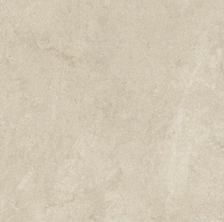 fujian-porcelain--6060--f-60610