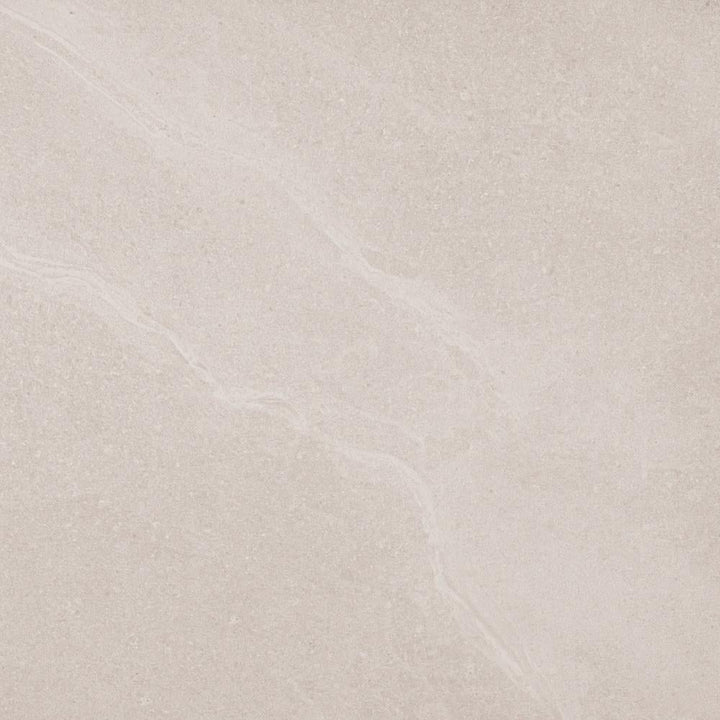 rejoy--6060--650035-national-porcelain