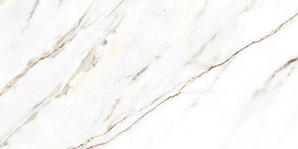 kendall-glossy--60120--spanish-porcelain-1610