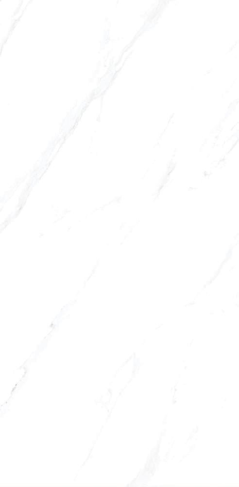 fujian-porcelain--60120--l-16028