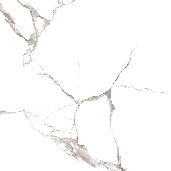 fujian-porcelain--6060--r-6007