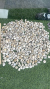small-shiny-white-ornamental-stone-20-kg