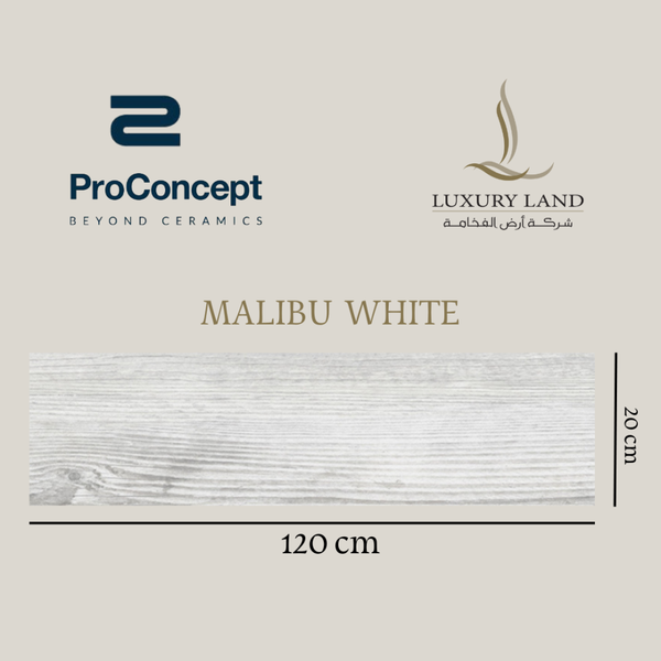 malibu-white--20120--spanish-wood-porcelain