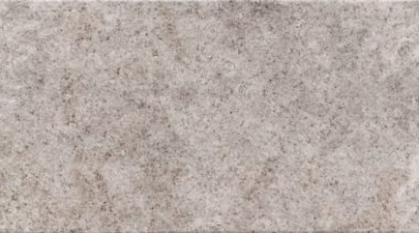 pace-gris--3156--spanish