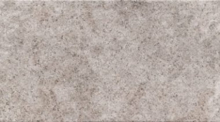 pace-gris--3156--spanish