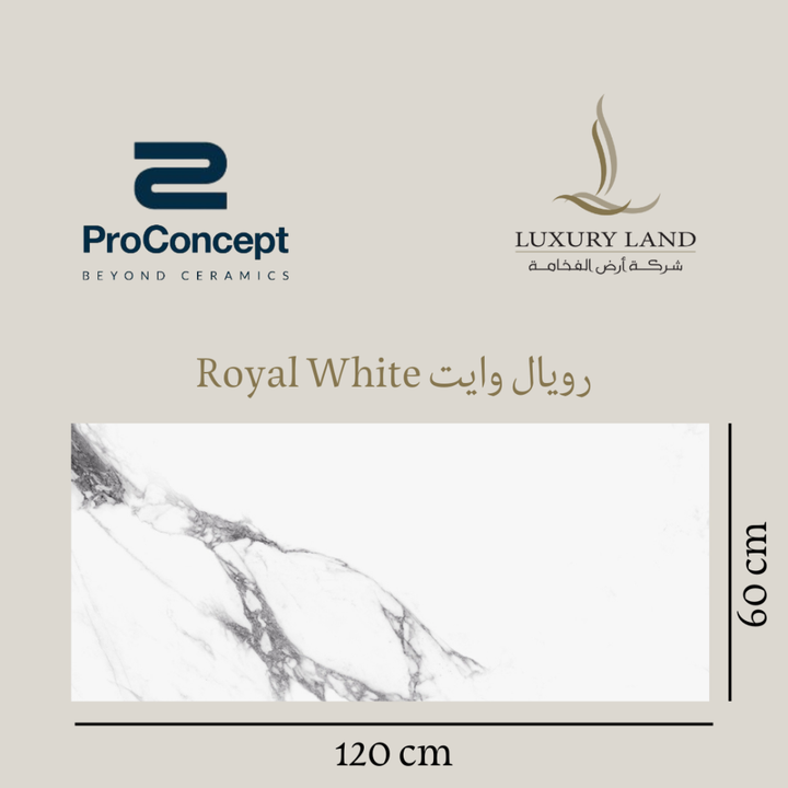 royal-white--60120--spanish-matte-porcelain