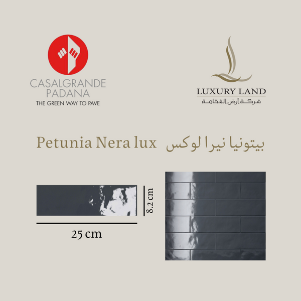 petunia-nera--8225--italian-porcelain