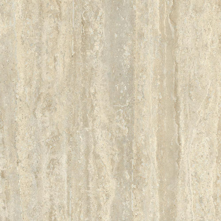 fujian-porcelain--6060--f-60607