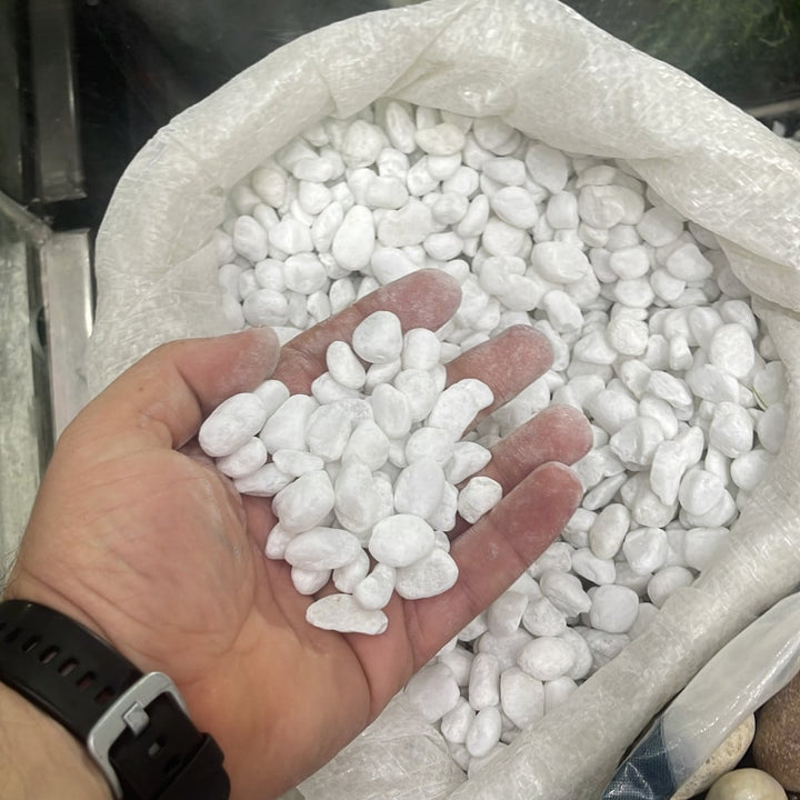 small-matte-white-decorative-stones-5-kg-pack