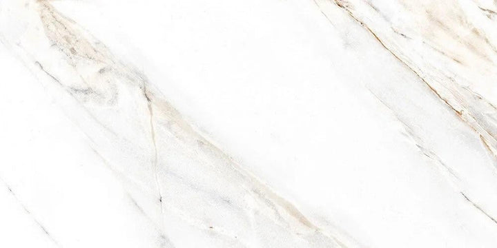 kendall-glossy--60120--spanish-porcelain-1610