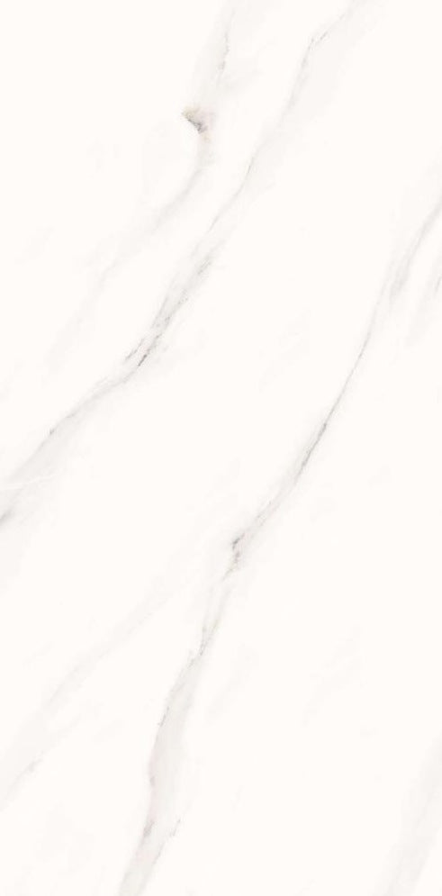 دريم وايت