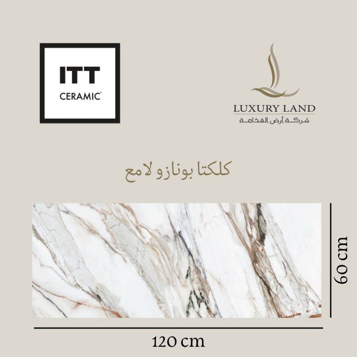 calcutta-bonazoo--60120--polished-spanish-porcelain