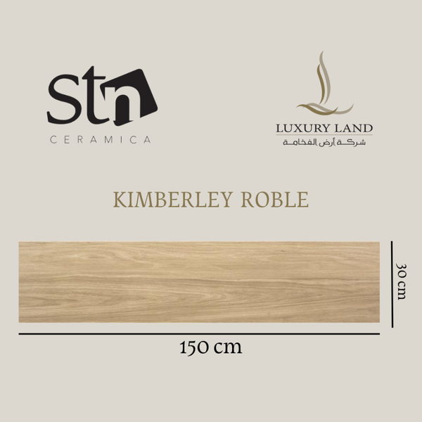 kimberly-ruble--150x30--spanish-porcelain
