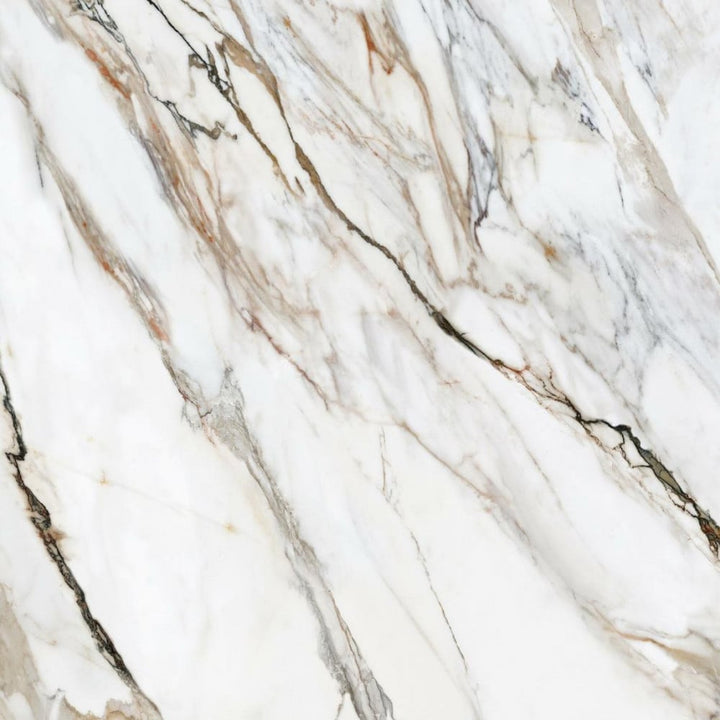 calcutta-bonazoo--60120--polished-spanish-porcelain