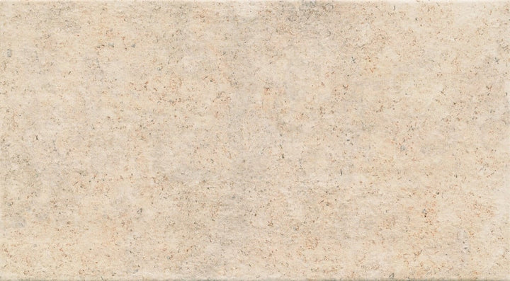 base-big--3156--spanish